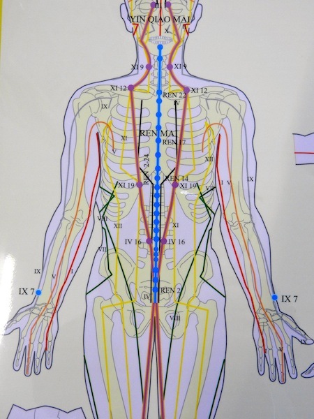 8 Extra Meridians Wall Chart sale 8 Extra Meridians Wall Chart sale