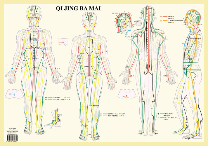 Acupuncture Charting Software