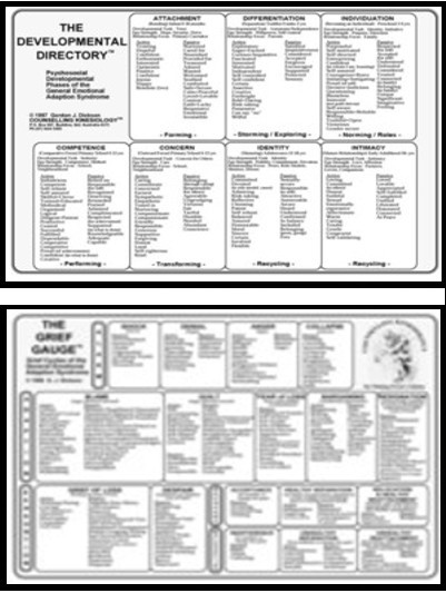 Kinesiology Emotion Chart