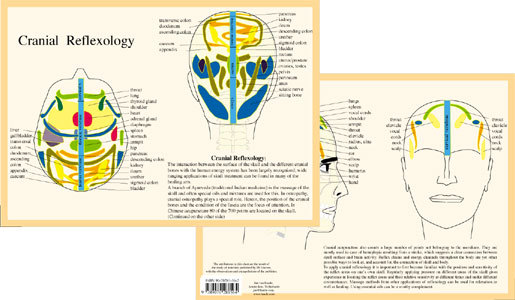 Cranial Reflexology Chart