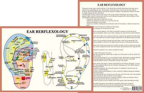 Ear Reflexology Chart
