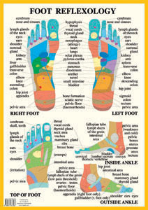 Reflexology Wall Chart Posters