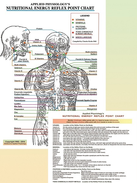 Applied Kinesiology Wall Chart