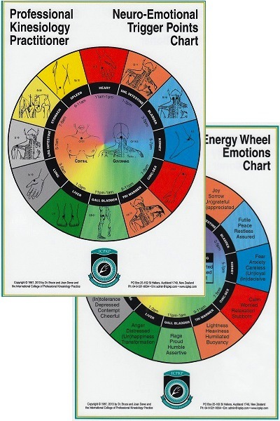 Kinesiology Emotion Chart