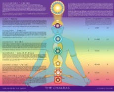 Chakra Charts For Sale