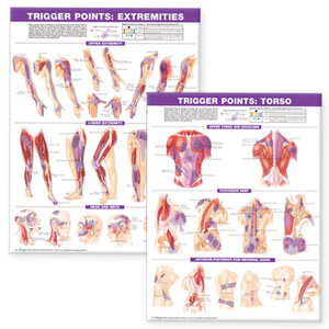 Trigger Point Chart Set Torso And Extremities