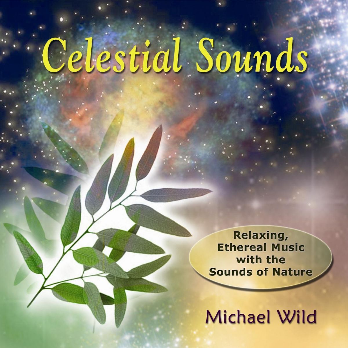 Michael Wild Music