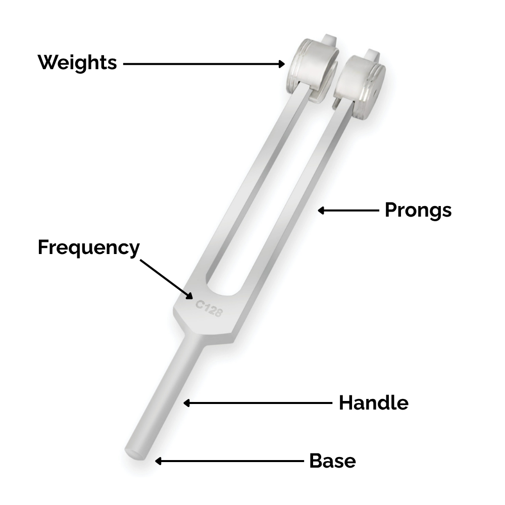Labelled diagram of a weighted C128 tuning fork showing the weights, prongs, frequency marking, handle and base