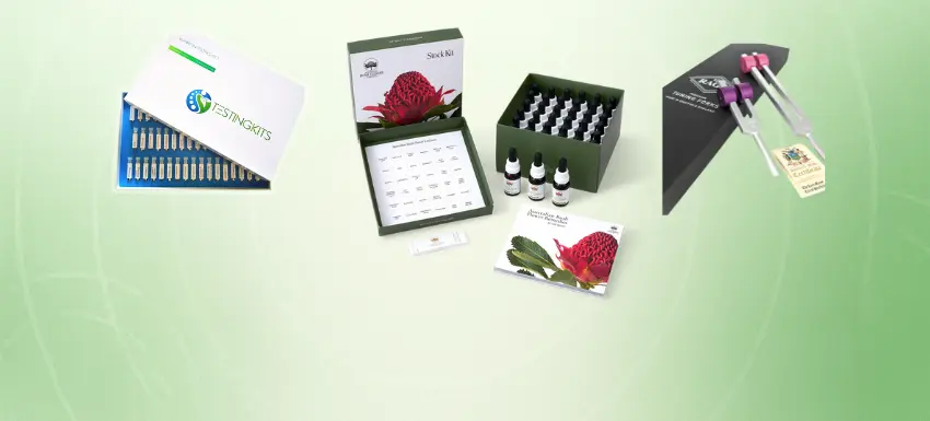 Welcome to Equilibrium