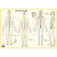 8 Extra Meridians Wall Chart
