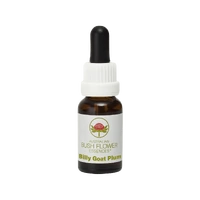 Billy Goat Plum