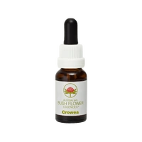 Crowea