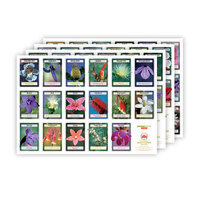 ABFE wall charts (sale)