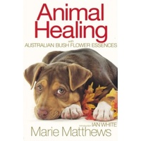 Animal Healing