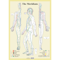 Acupuncture Meridians