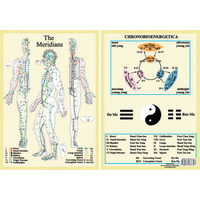 Acupuncture Meridians A4