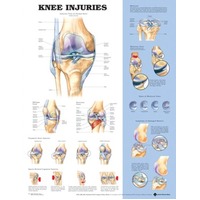 Knee Injuries (sale)