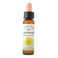 Agrimony
