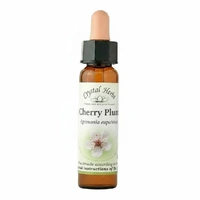 Cherry Plum