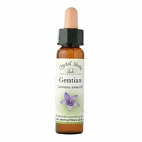 Gentian