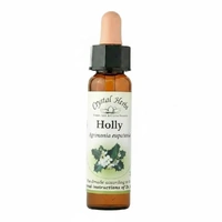 Holly