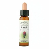 Larch