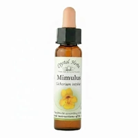 Mimulus
