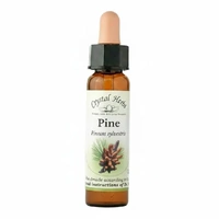 Pine