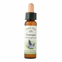 Vervain