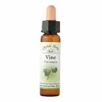 Vine
