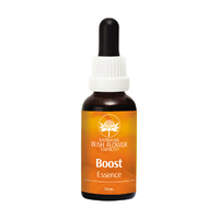 Boost Remedy Essence