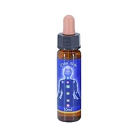 Brow Chakra