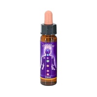 Crown Chakra