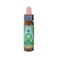 Heart Chakra