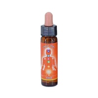 Sacral Chakra