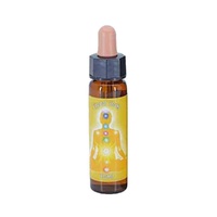 Solar Plexus Chakra