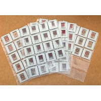Chakra Hologram Slides