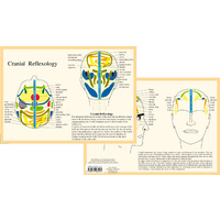Cranial Reflexology A4
