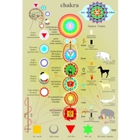 Chakra Wall Chart A2