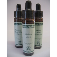 Desert Alchemy Single Bottles