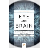 Eye and Brain