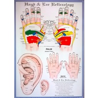 Ear Acupressure & Hand Reflexology