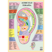 Auriculo Terapia