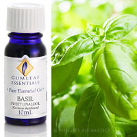 Basil Sweet