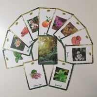 Essential Oil Cards