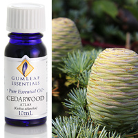Cedarwood Atlas 