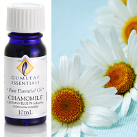 Chamomile