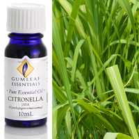 Citronella