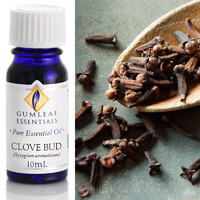 Clove