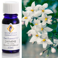 Jasmine